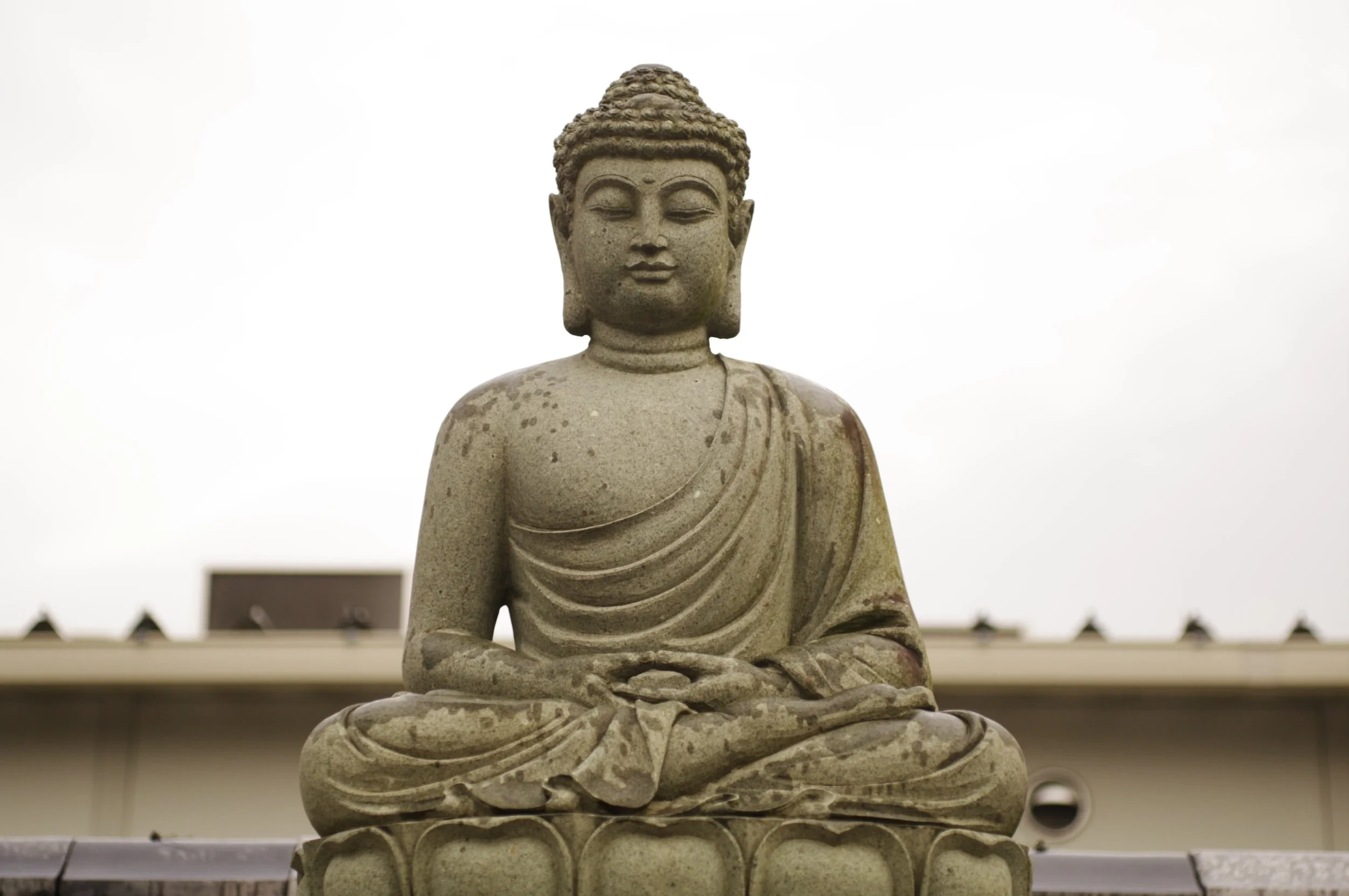 unsplash-image-KTJ47DL4jfE.jpg