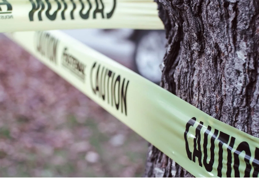 A tree with caution tape on it. 