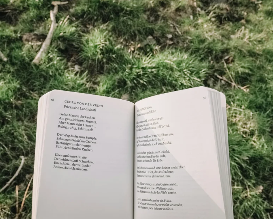 An open book in front of grass