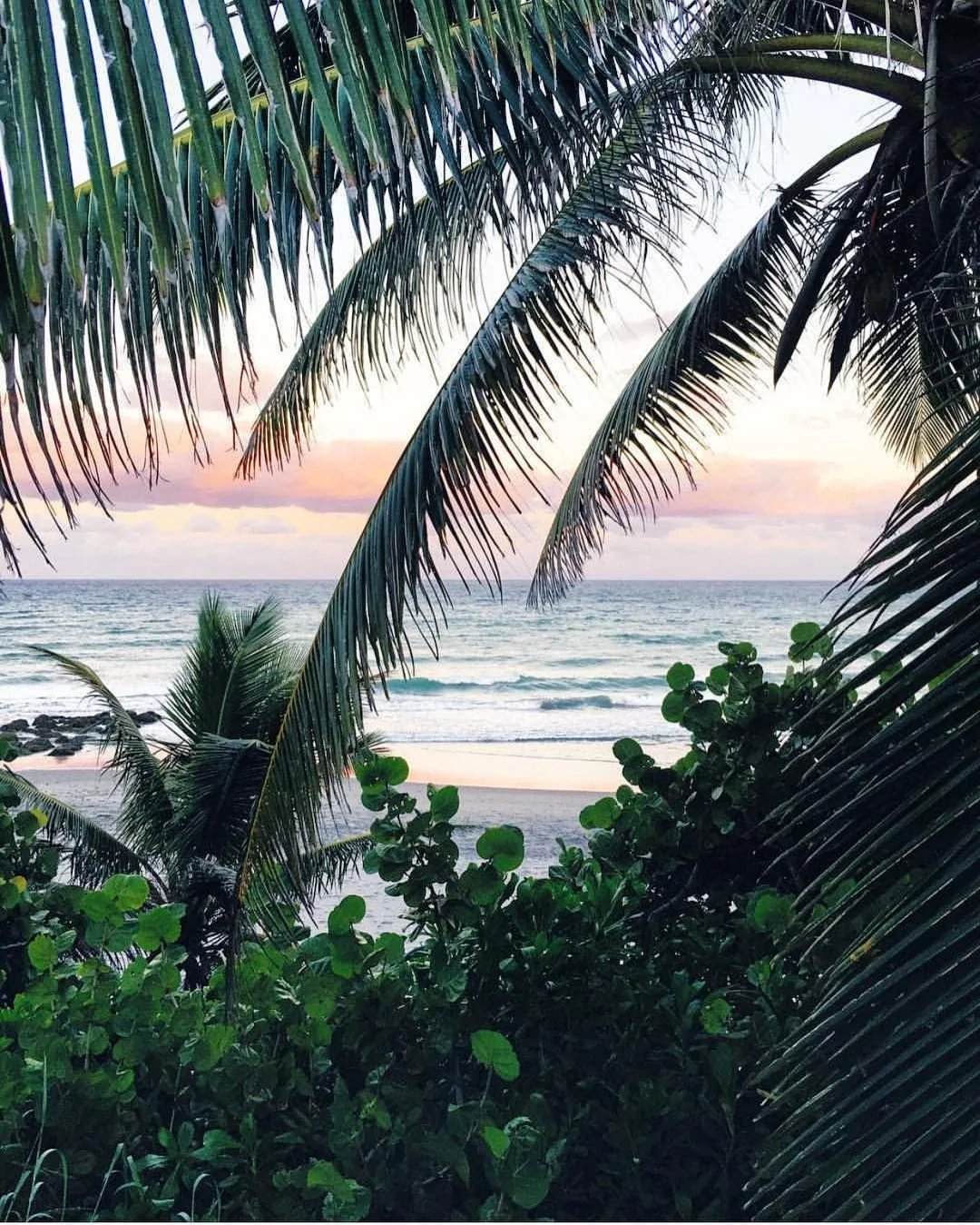 Instagram post by Free People Florida • Oct 19, 2016 at 1_40pm UTC.jpeg