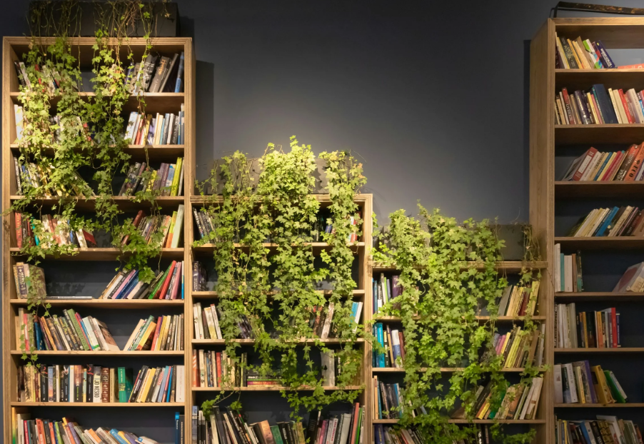 Pictures of bookshelves covered by vines