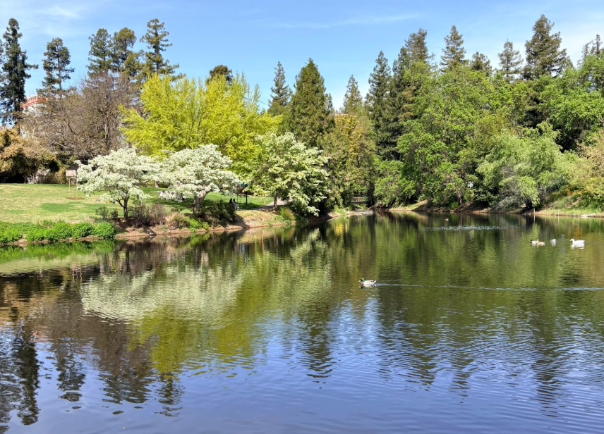 a beautiful lake