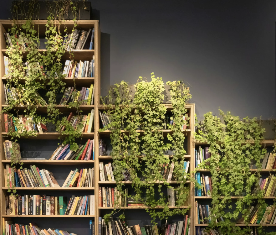 A photo of a bookshelf with green vines growing on it