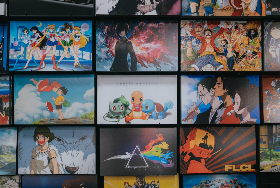Photo of various slides taken from many anime