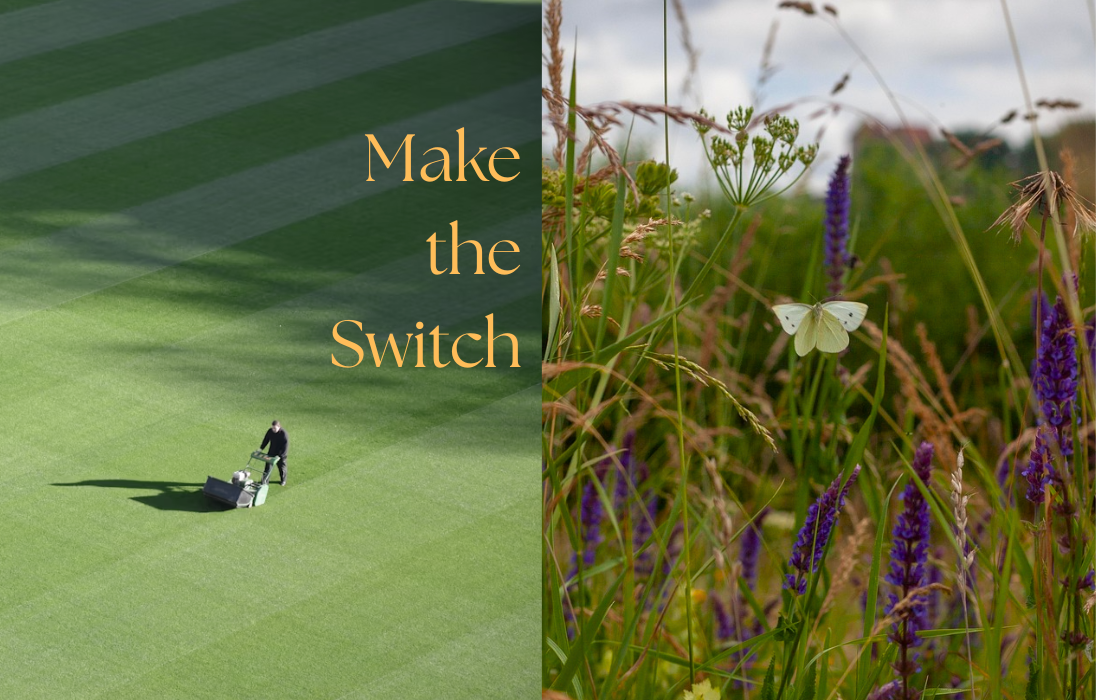 Mowing lawn