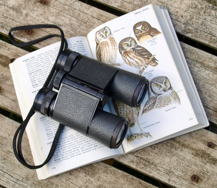 A book about owls is open on top of a picnic table. There is a pair of binoculars on top of the book.