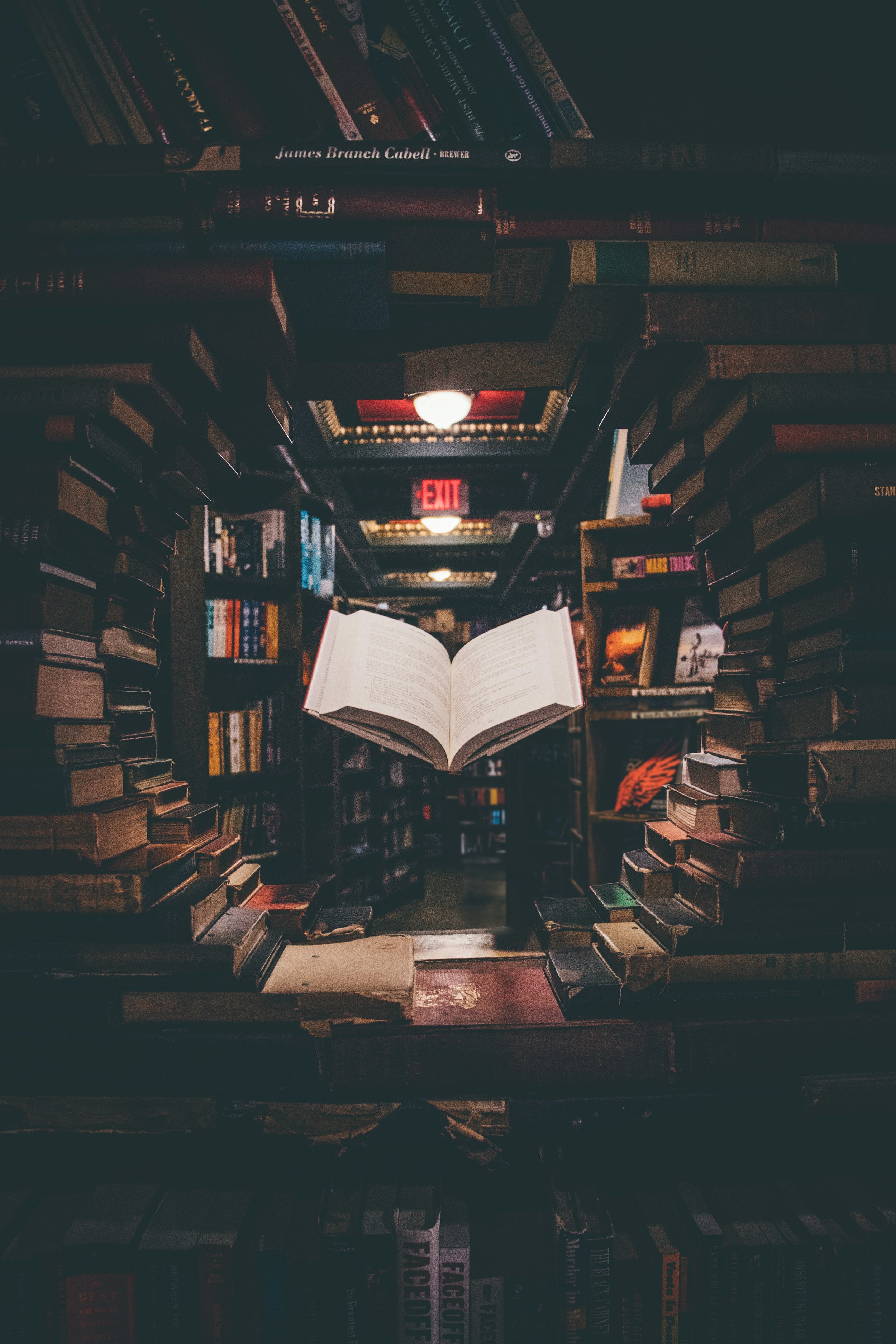 Image of a library, with a book floating in the foreground of the photograph.