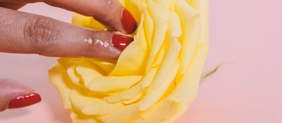 Glistening fingers with red nail polish enter the middle of a yellow rose