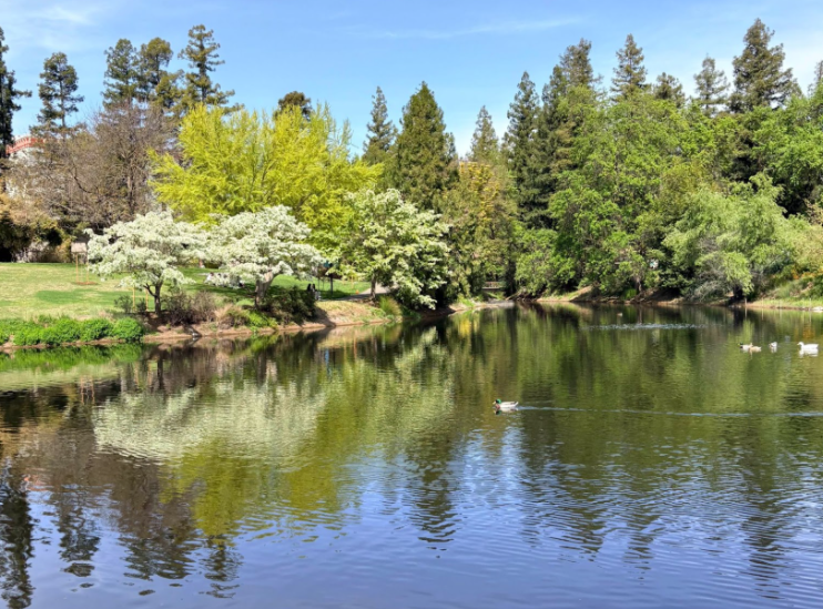 A landscape photo of lake scenery