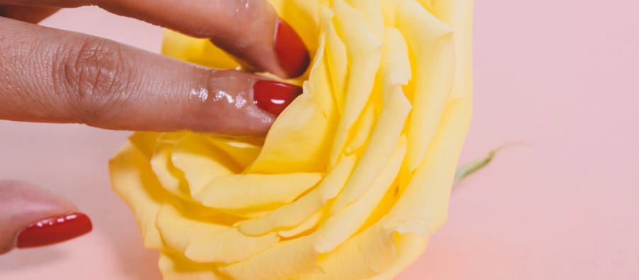 two glistening fingers with red nail polish on insert the center of a yellow rose
