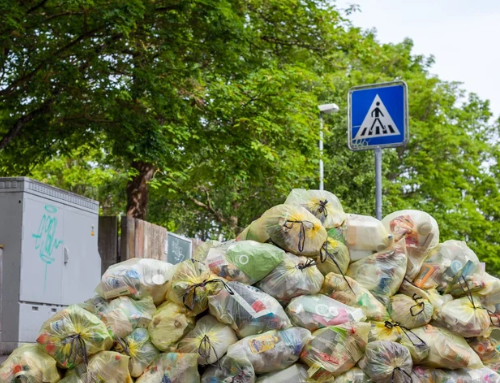 A pile of garbage blocking a walking path. There are green trees in the background.