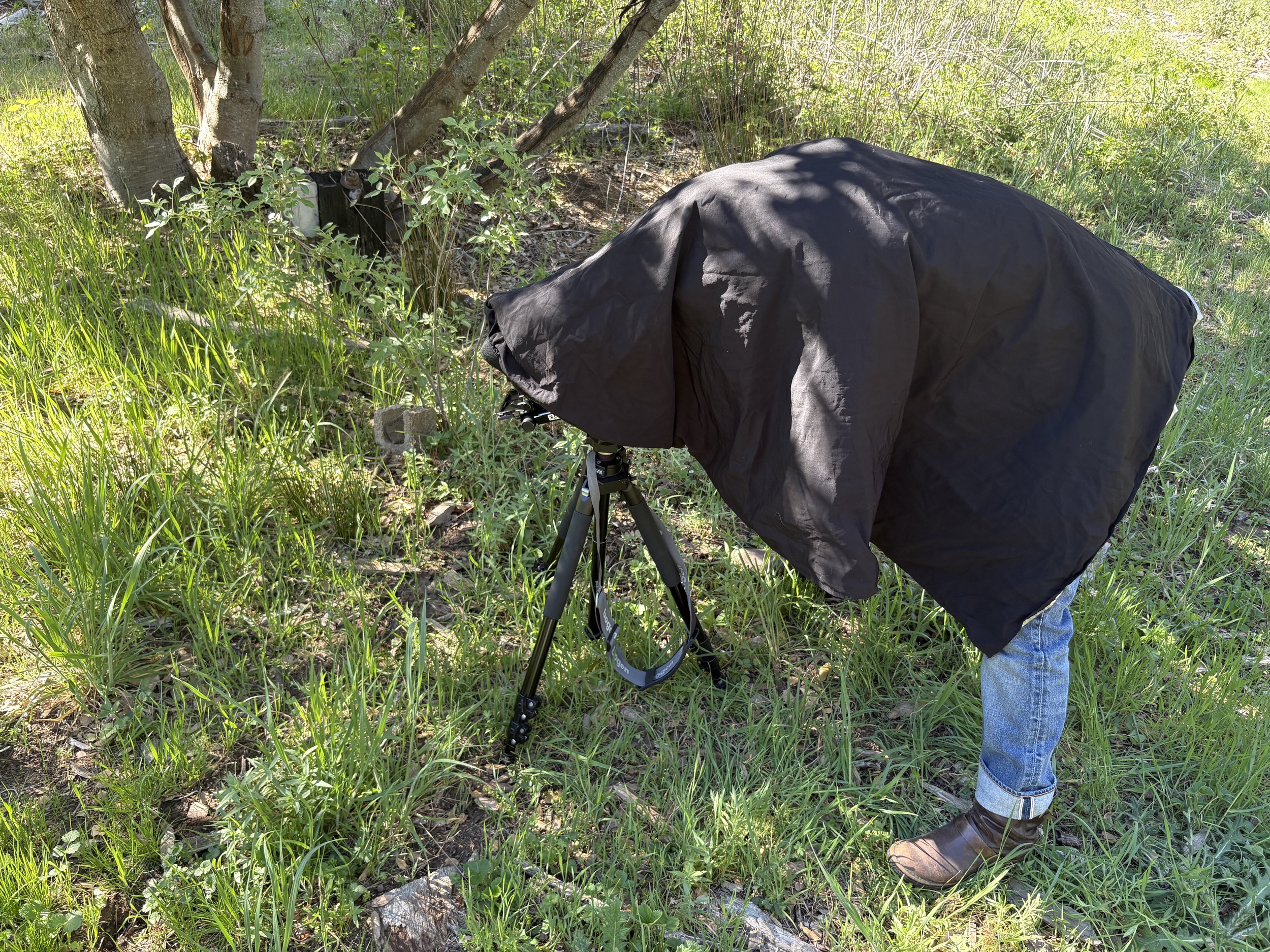 a cloaked person with a 4x5 camera