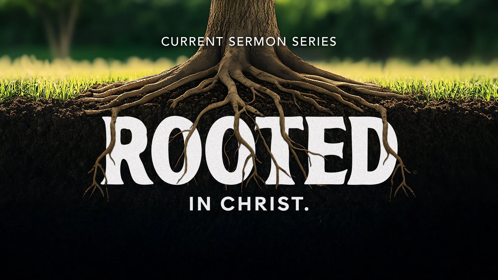 Rooted: Rooted with Purpose - Finding Meaning in Your Work