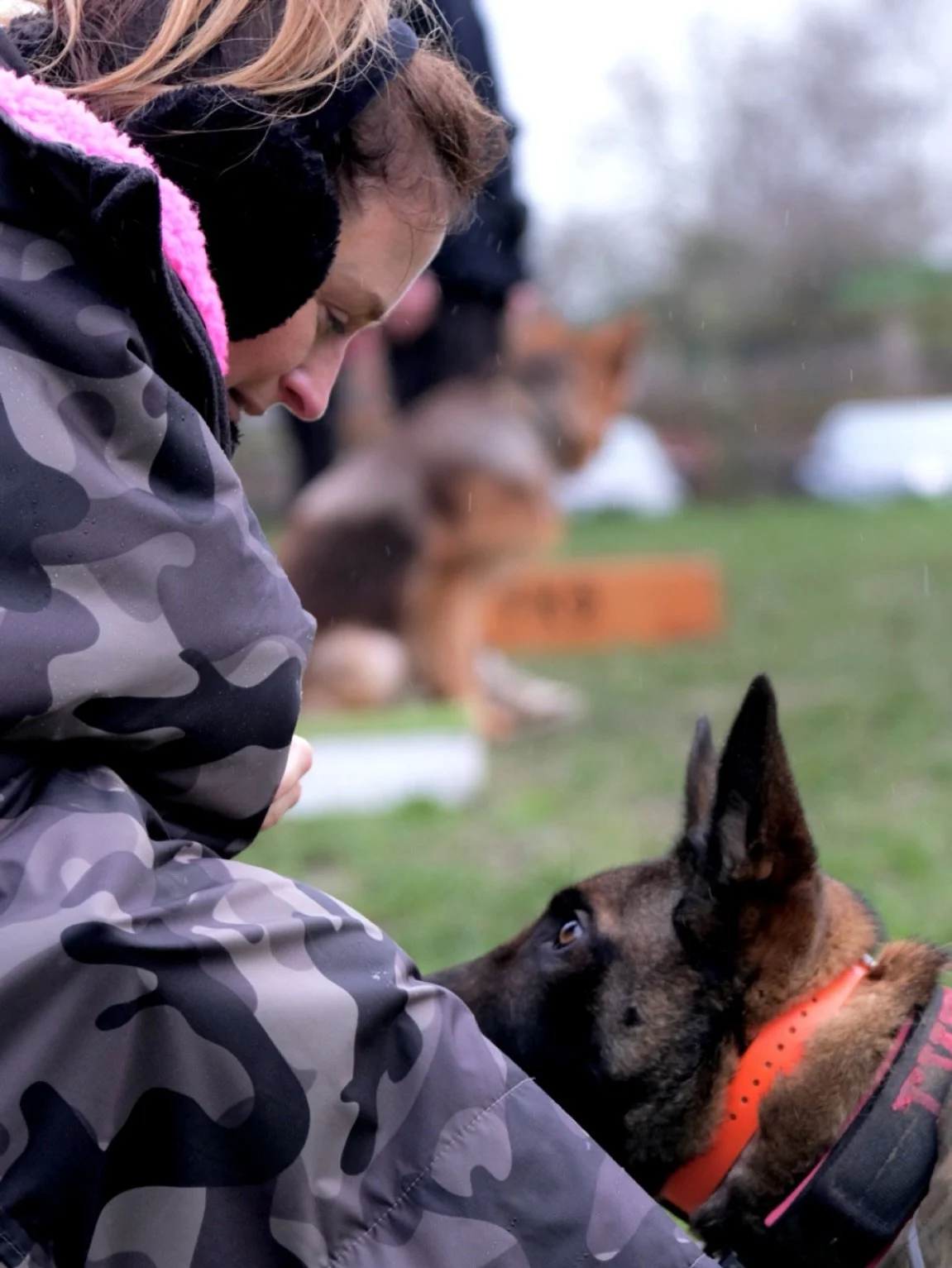 Tara &amp; Maya 🐾 @frontier_k9