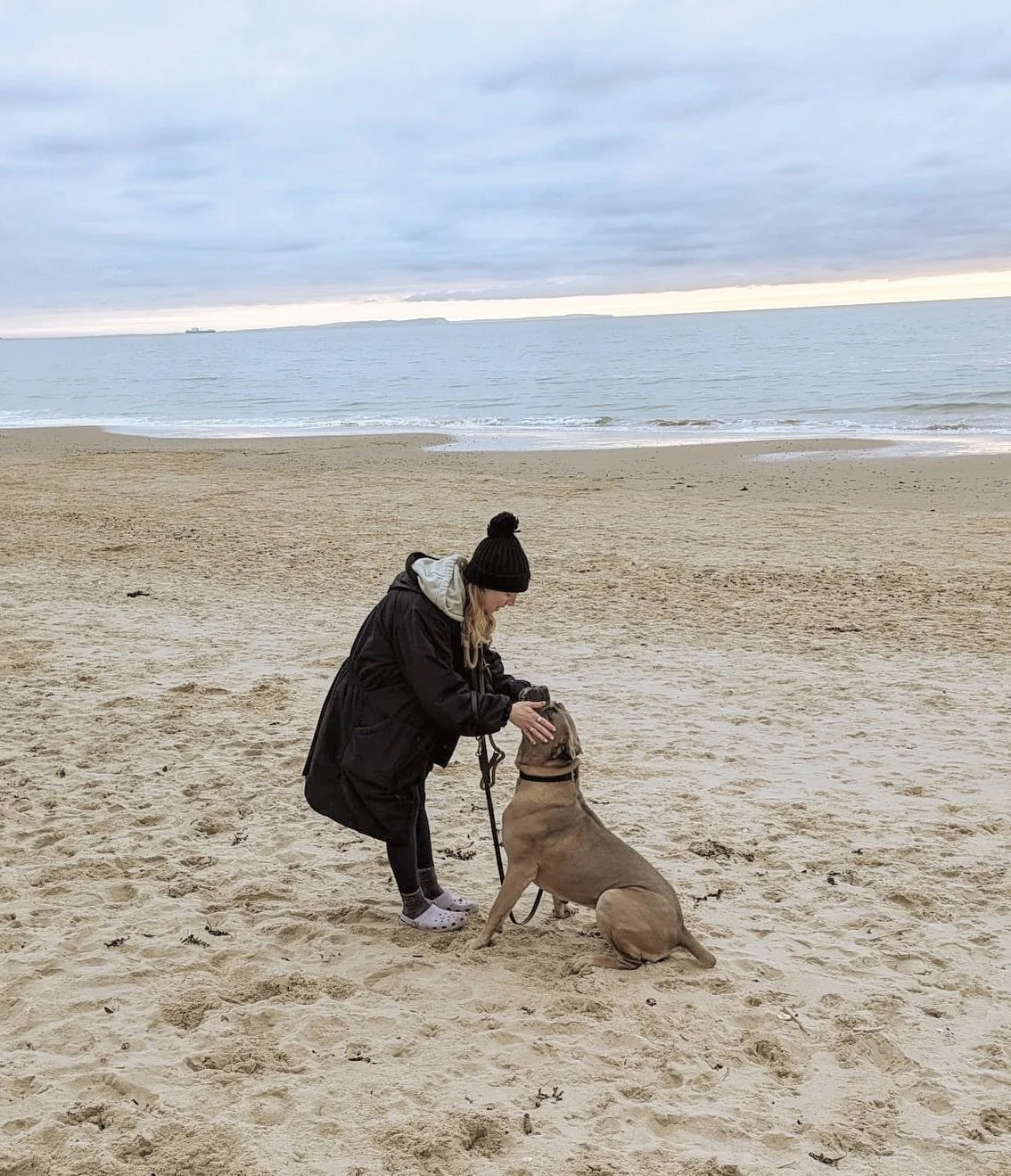 We love working with all sizes of dogs 🤍