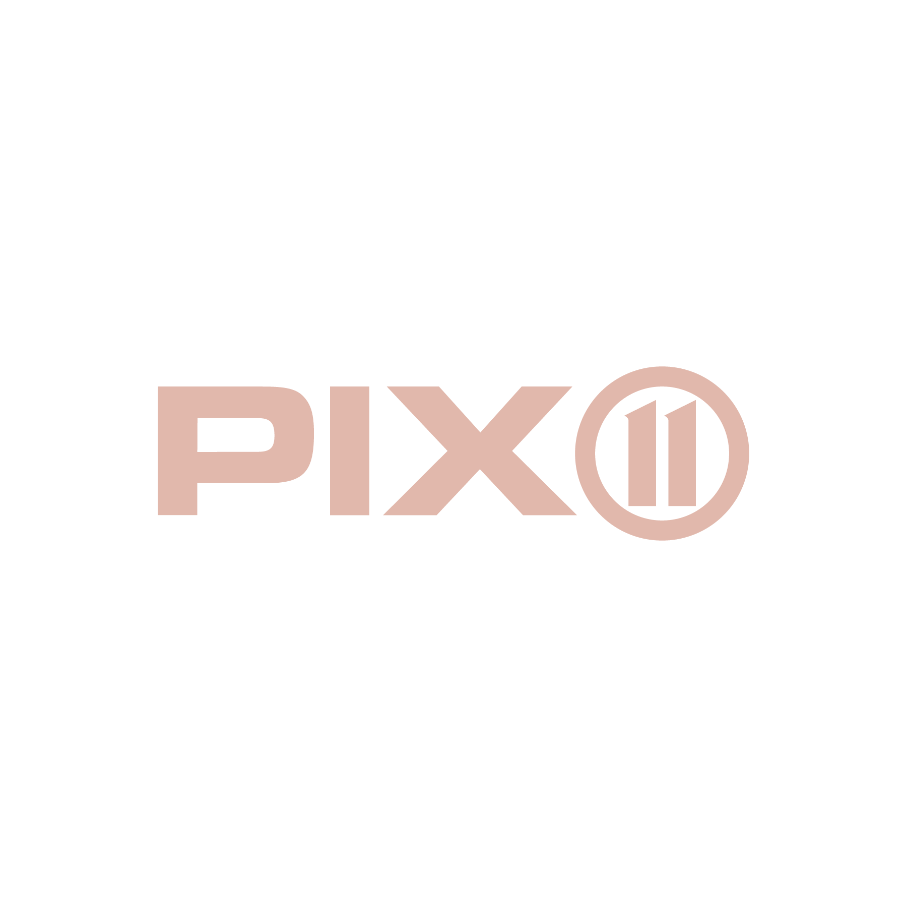 PIX11 Tv Appearance  (Copy)