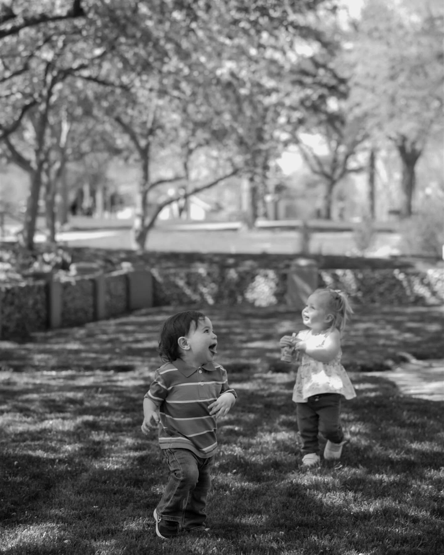 From my outdoor spring minis. A little cousin shoot. 🥰

#jennaheckelphotography #siouxfallsfamilyphotographer #siouxfallsphotographer #midwestphotographer