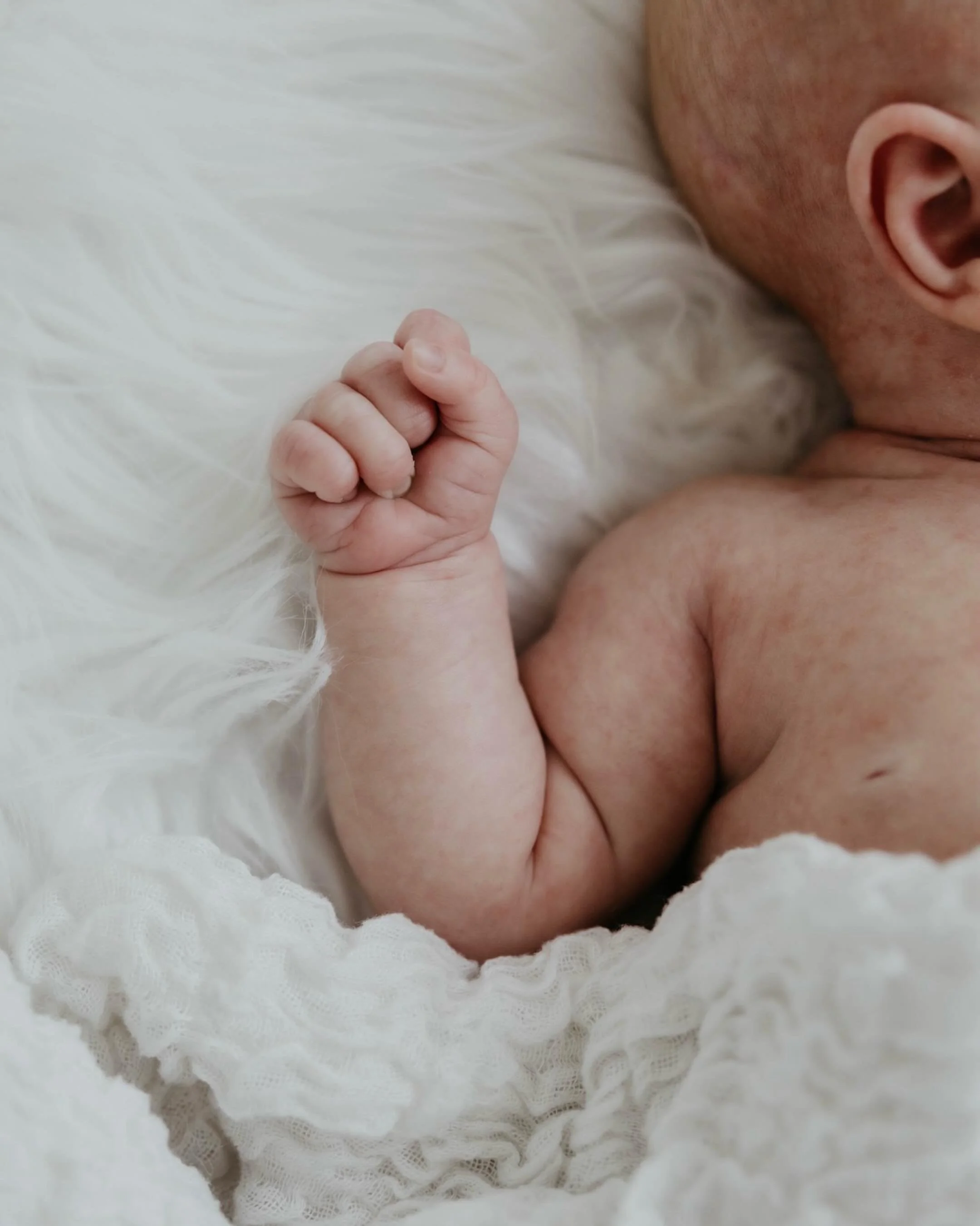 It&rsquo;s Mabel&rsquo;s world and we are just living in it. 

#jennaheckelphotography #siouxfallsphotographer #siouxfallsfamilyphotographer #southdakotafamilyphotographer
