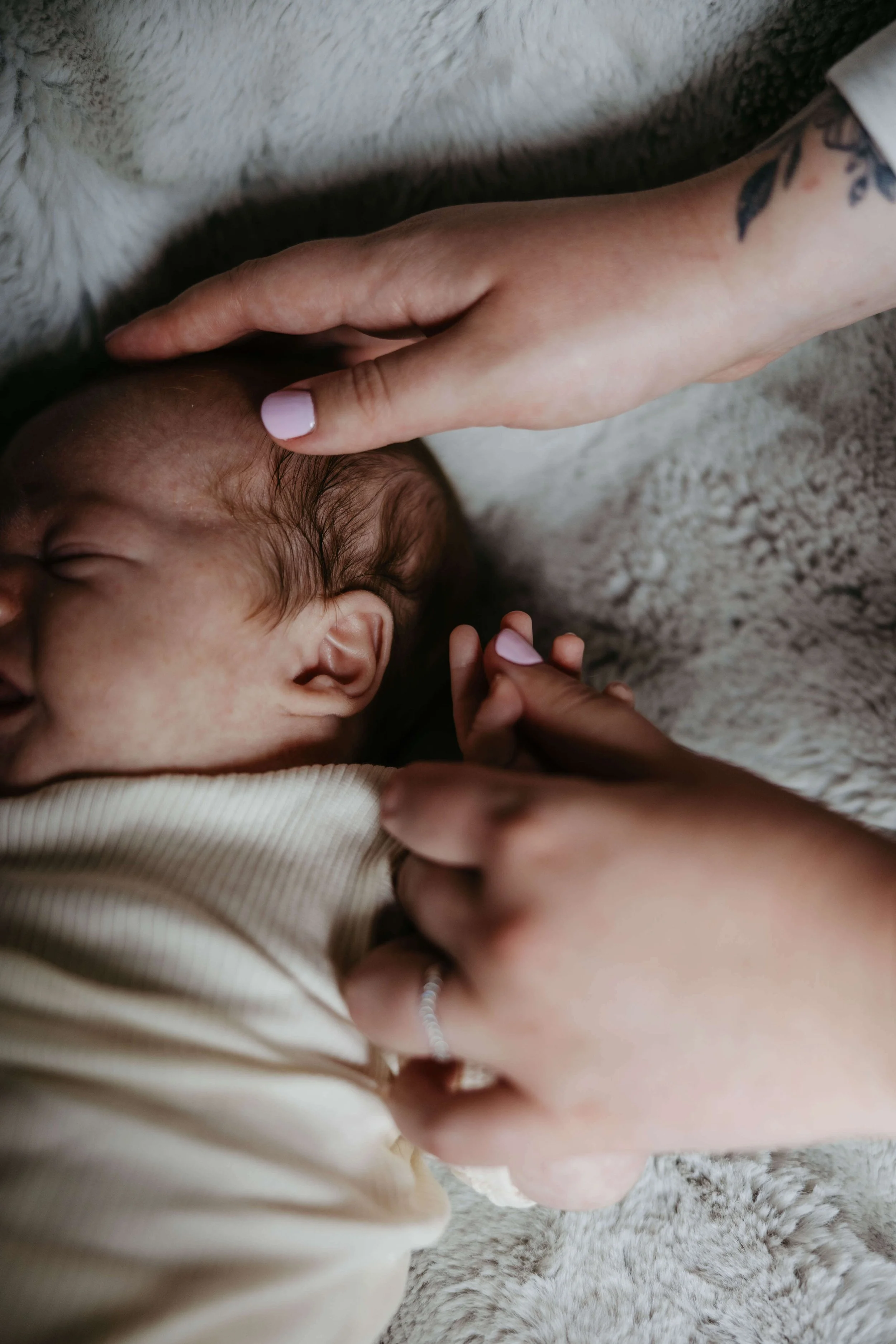 Newborn baby at in home family newborn session in Sioux Falls, South Dakota. Photographed by Jenna Heckel Photography. 