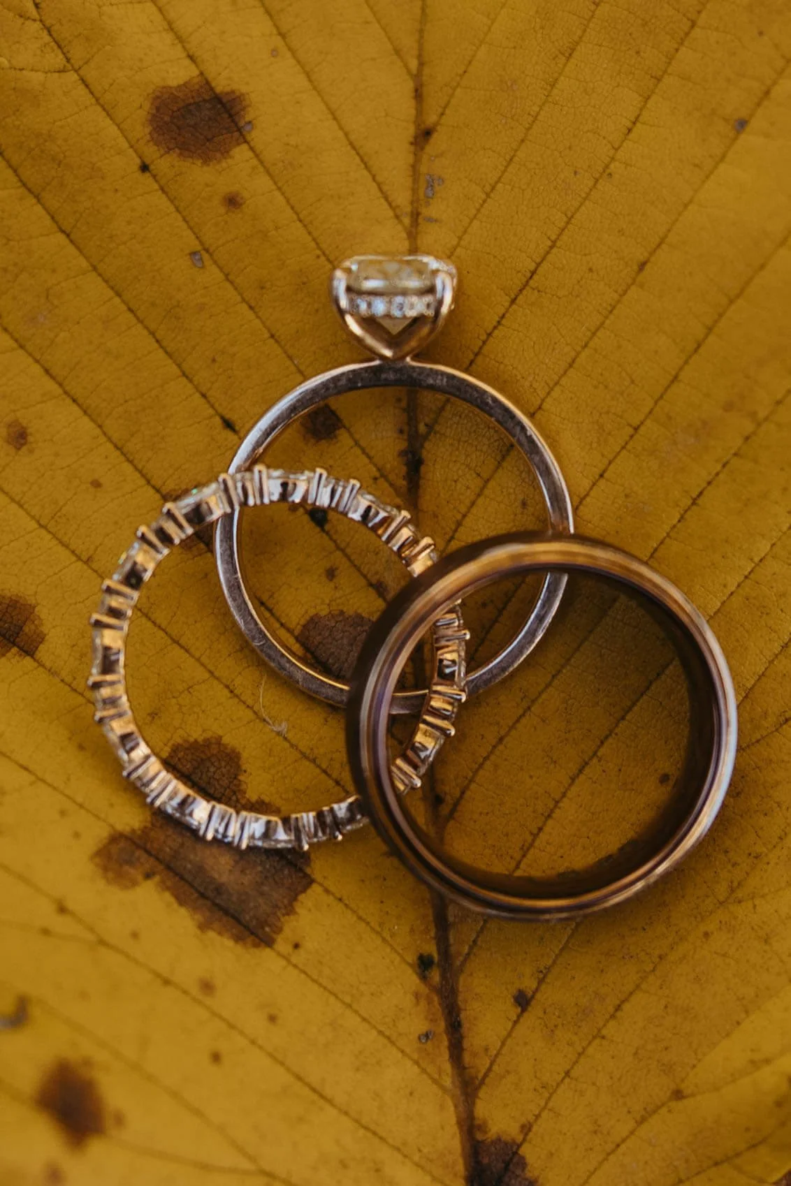 JHP J+D Wedding-23.jpg