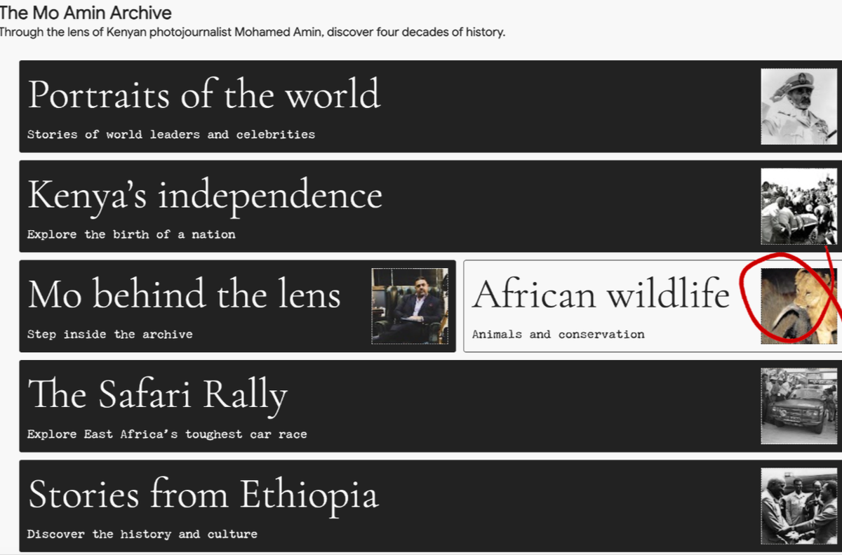 Mo+Amin+Google+Arts+and+Culture+Louise+Rytter+15.png