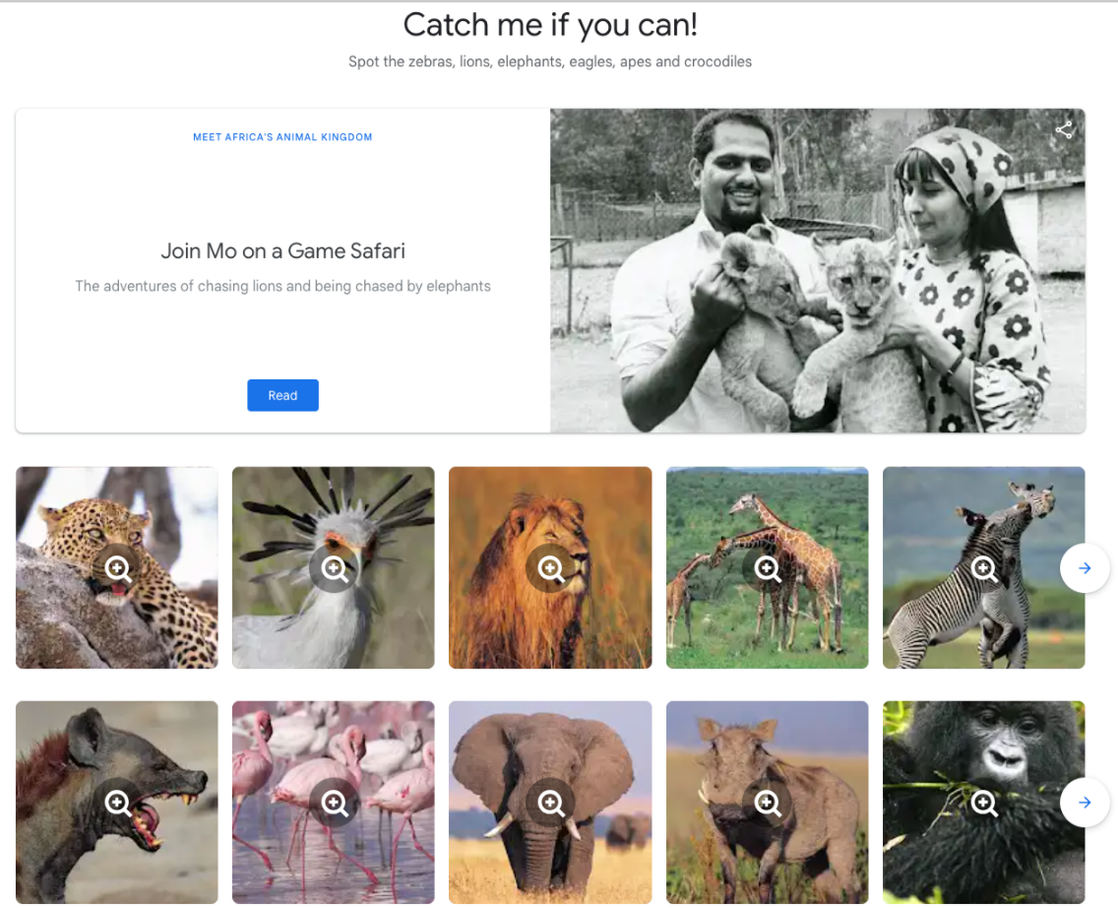 Mo+Amin+Google+Arts+and+Culture+Louise+Rytter+20.png