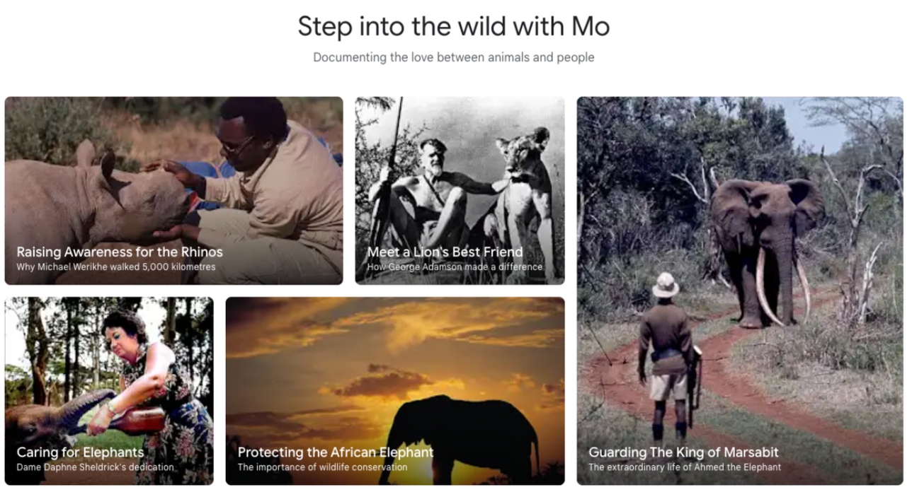 Mo+Amin+Google+Arts+and+Culture+Louise+Rytter+9.png