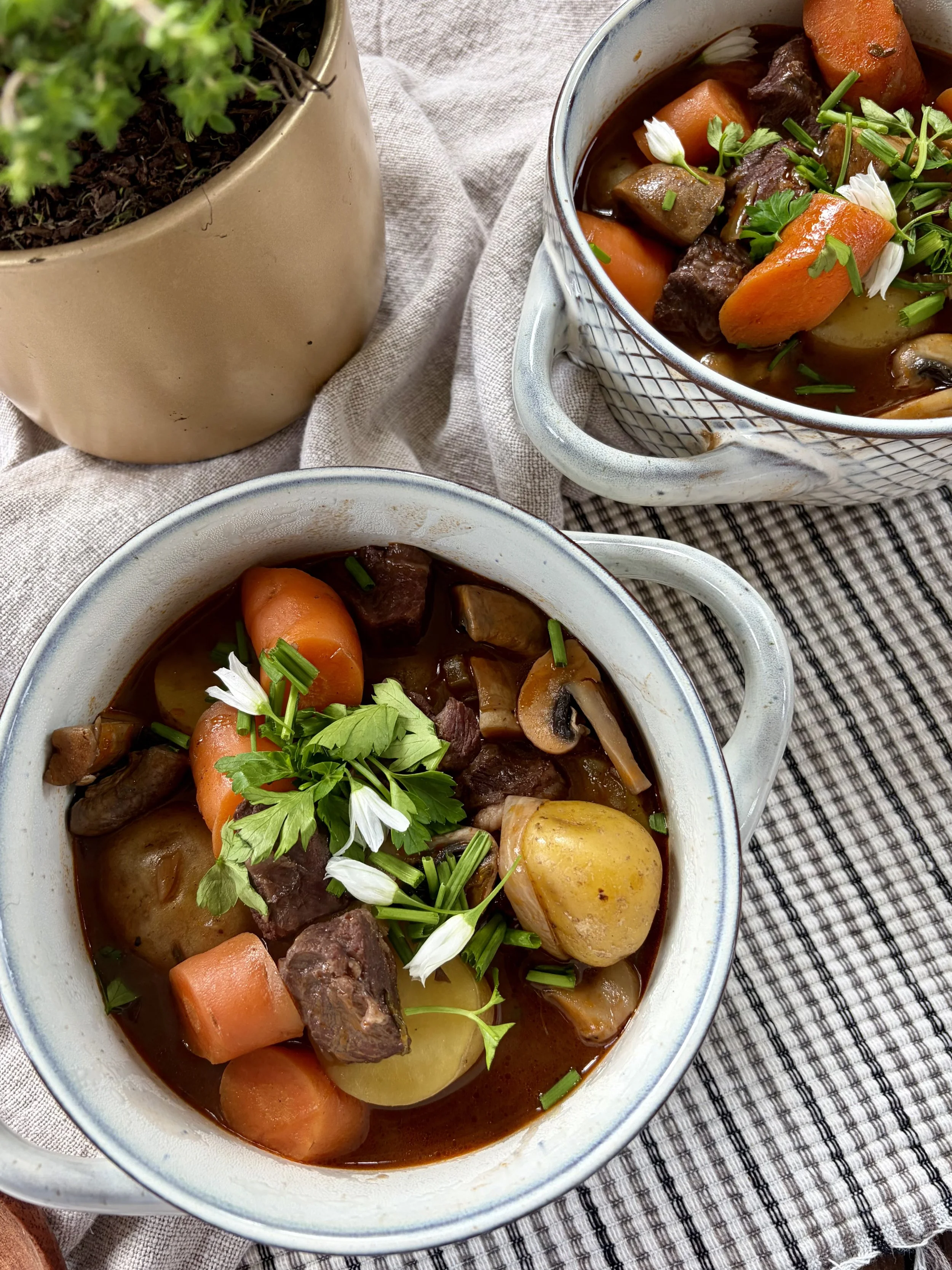 Lamb Stew 