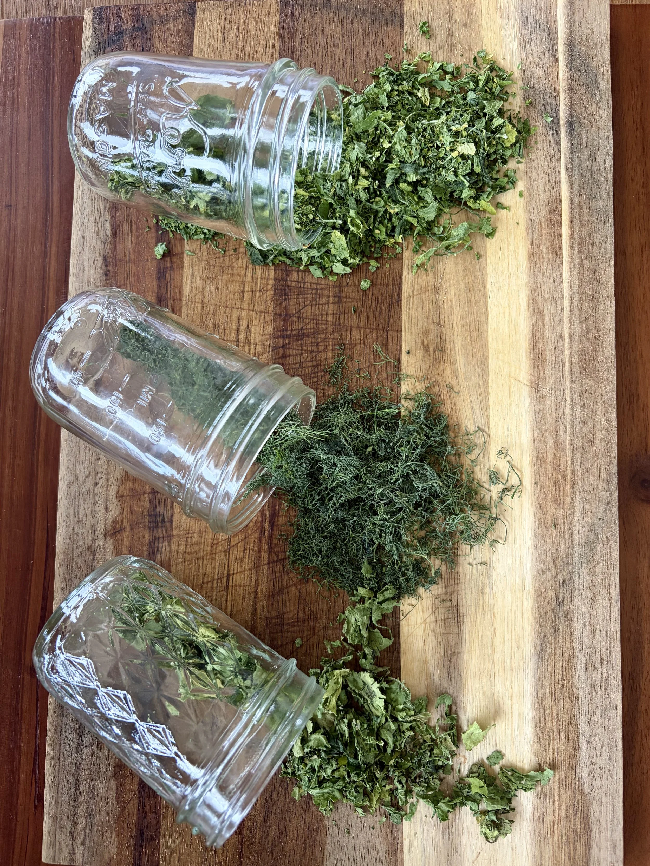 Drying Herbs