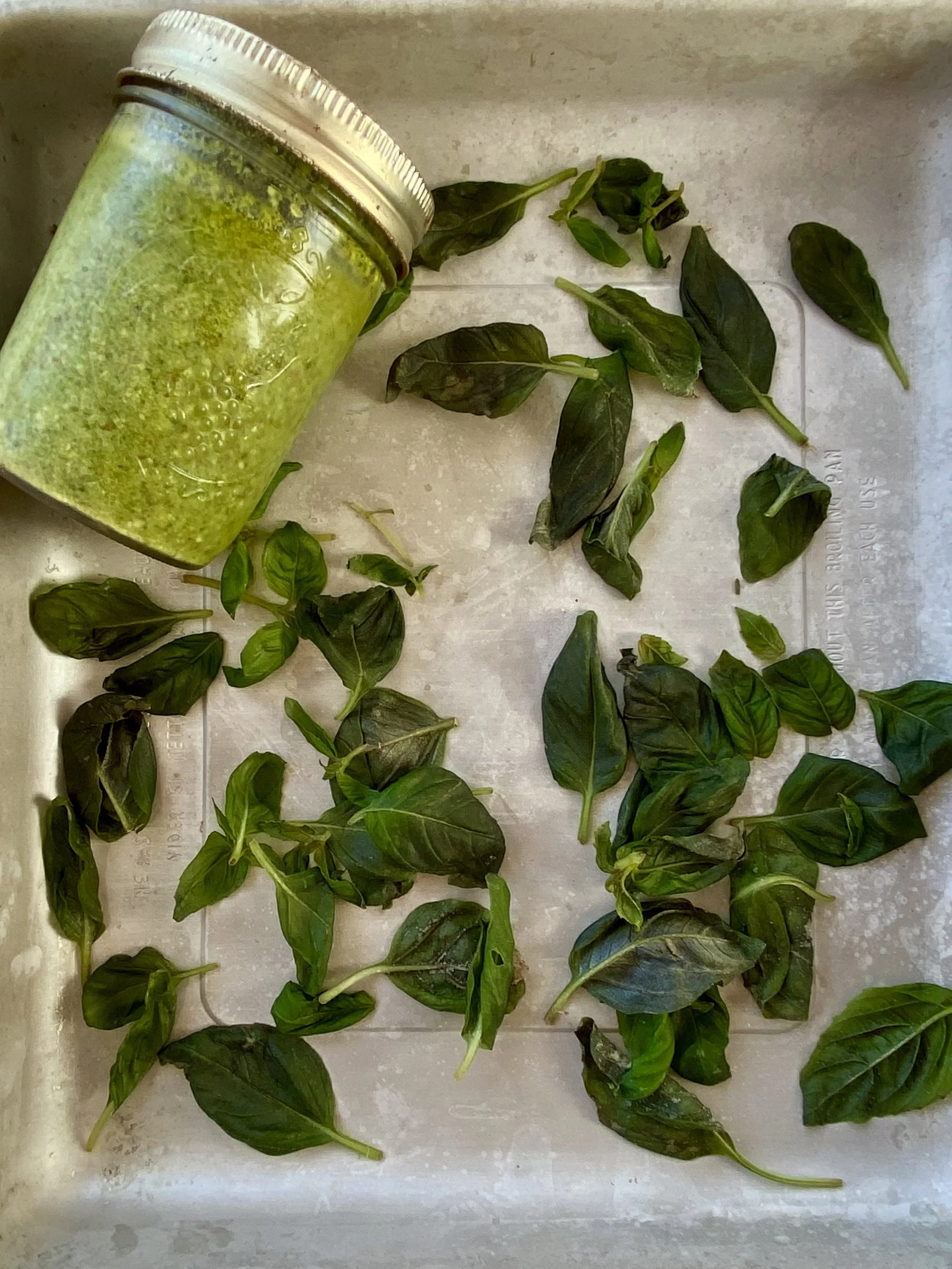 Freezing Basil