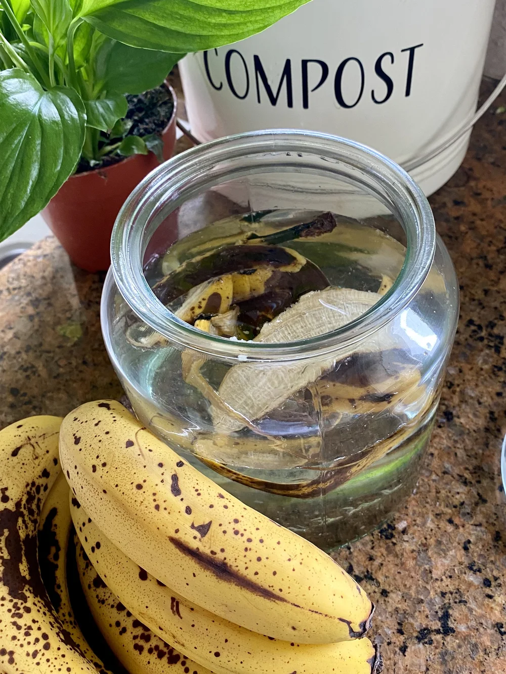 banana-water