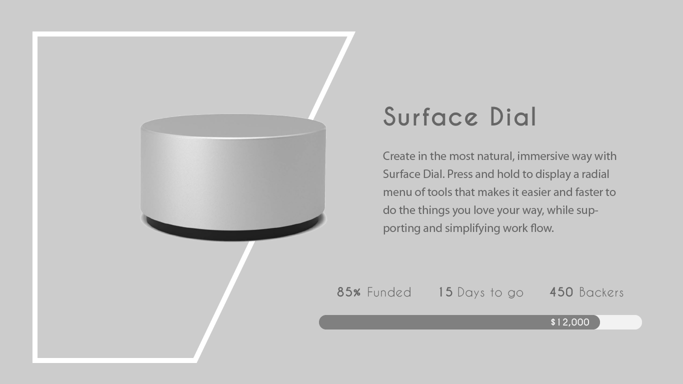 023_Crowdfunding Campaign.png