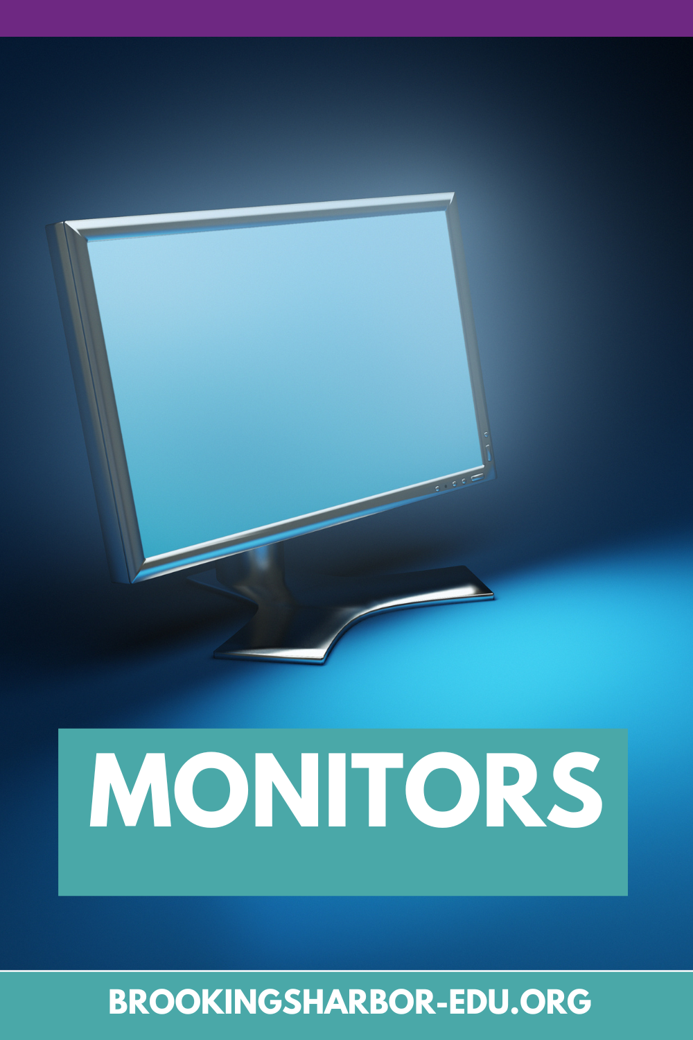 Monitors for Mrs. Whaleys PE Class