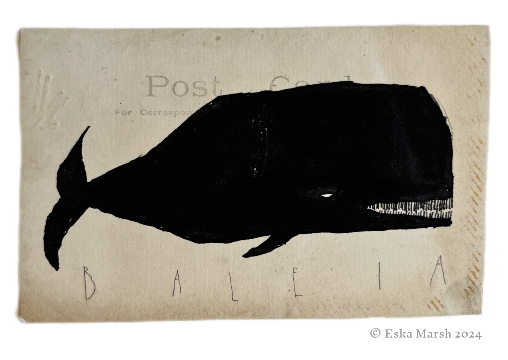 black whale postcard copyrighted.png