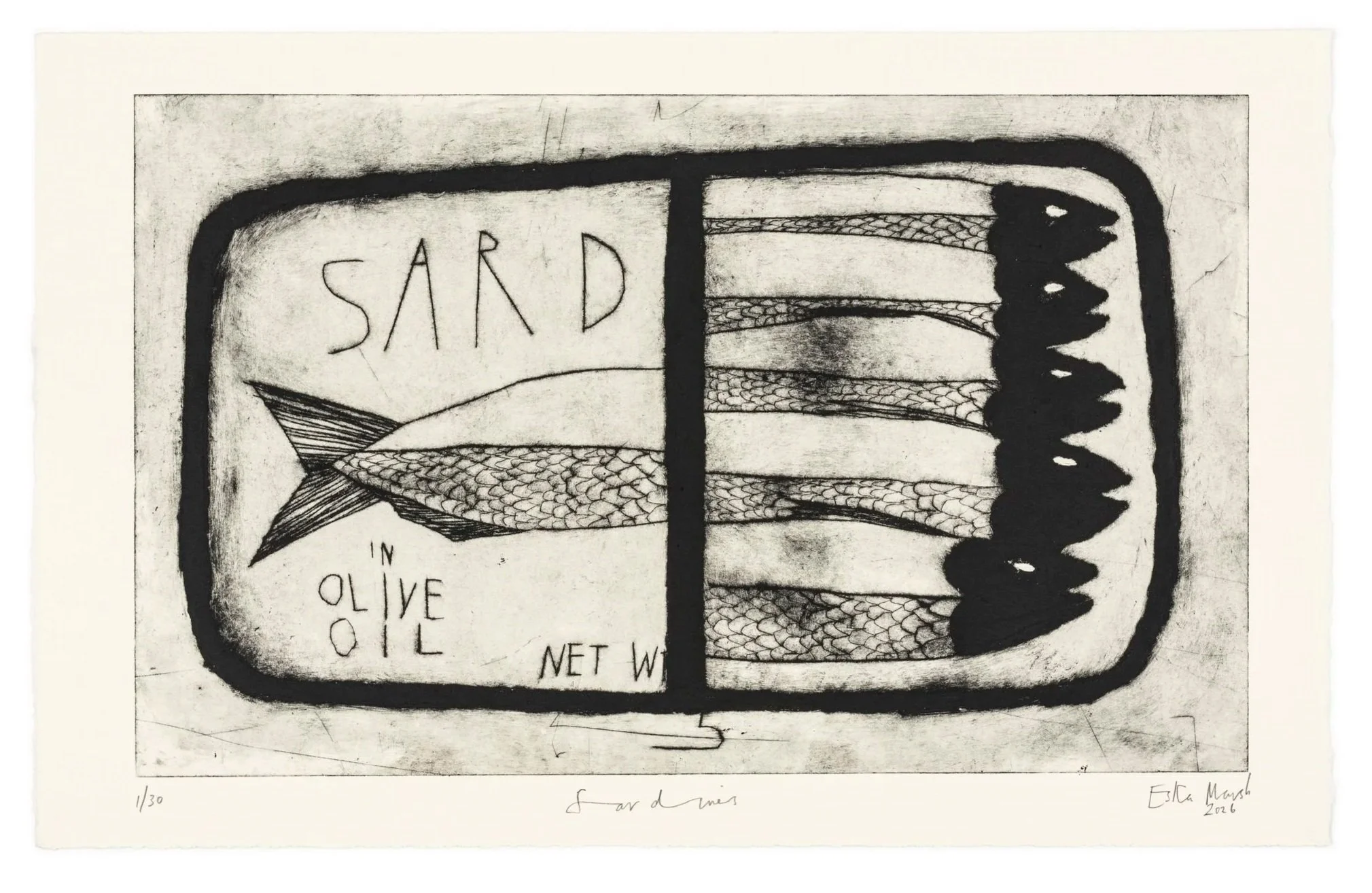 Sardines