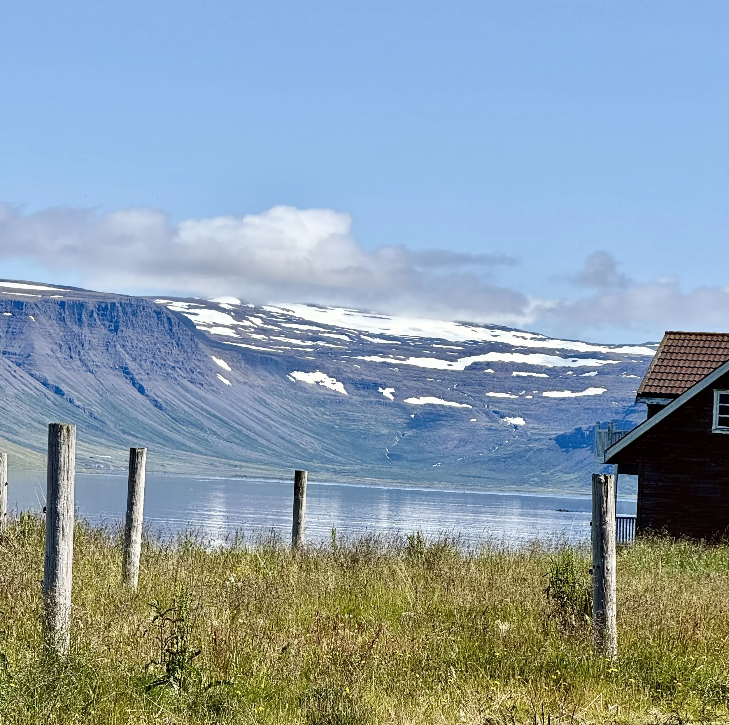 Glacier and Fjord Iceland