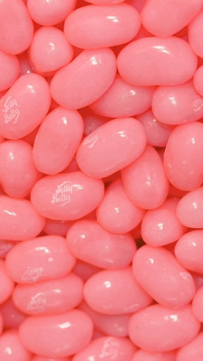 copy_A33EBD72-100B-4777-9CF3-1B1C1D74D742 2.gif