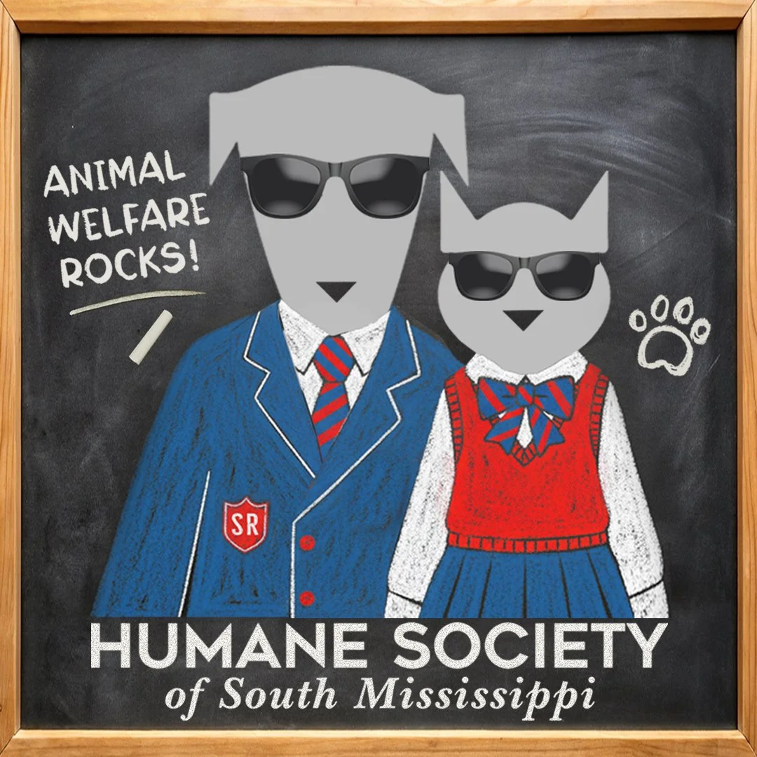 Rock 'N Roll Over: School of Rock