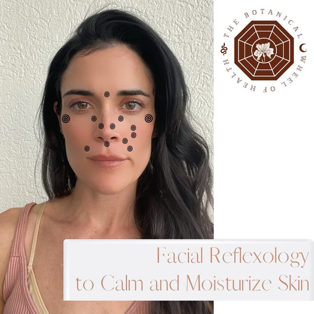 Facial Reflexology Protocol to calm and moisturize skin while also improving intestinal flow (all important to promote and address during the drying Autumn season) now up on The Botanical Wheel of Health website. Link in my bio.

Facial Reflexology w