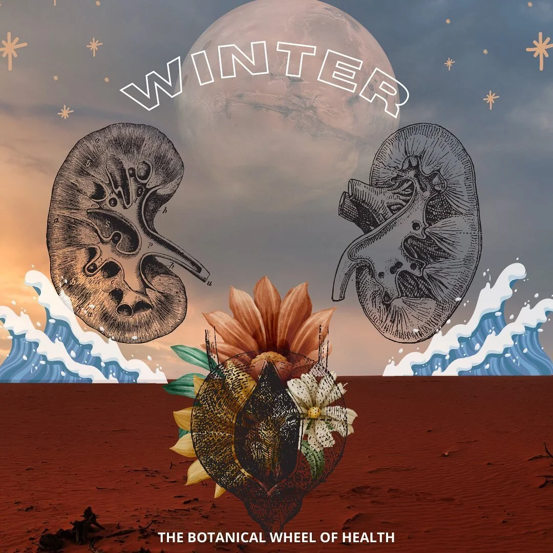 According to Chinese Medicine, Winter represents the most Yin aspects of nature. It is the most inward and receptive energy, bringing in aspects of cold and dark. The organs related to this time are the kidneys and bladder. Practices that help nurtur