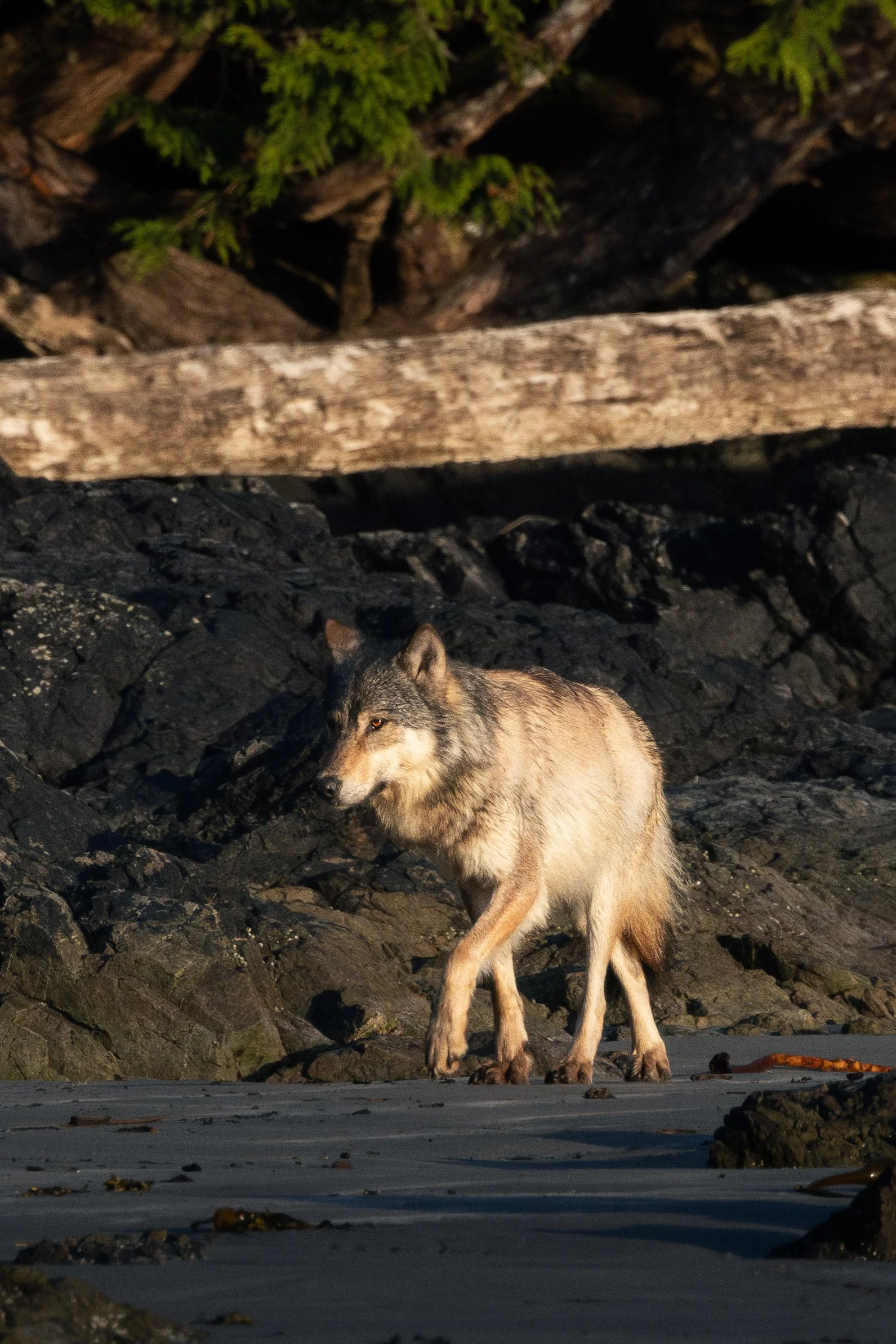 EW2A7842-Enhanced-NR.jpg