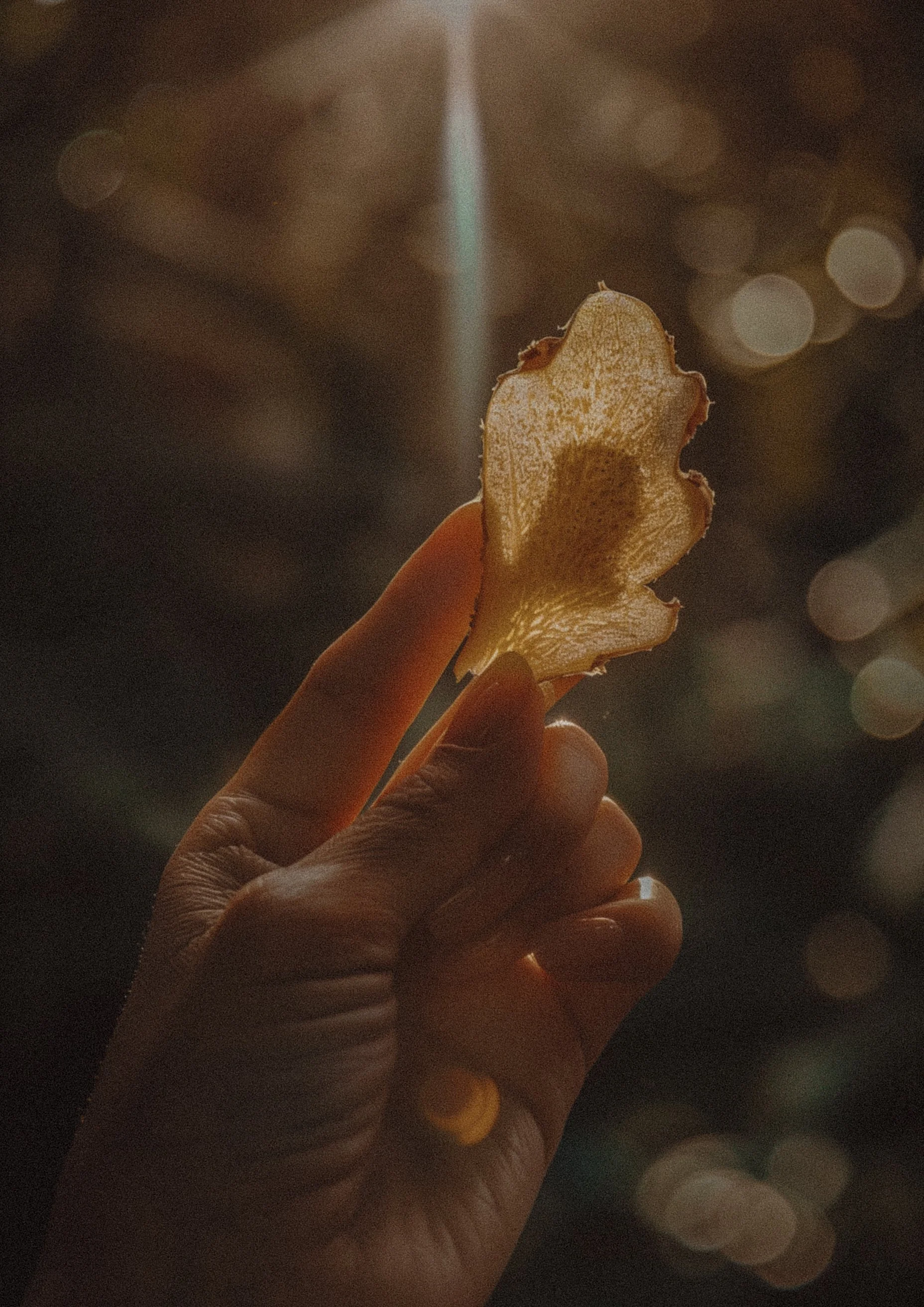 Self-Worth & Success: Living from the Frequency of Who You're Becoming