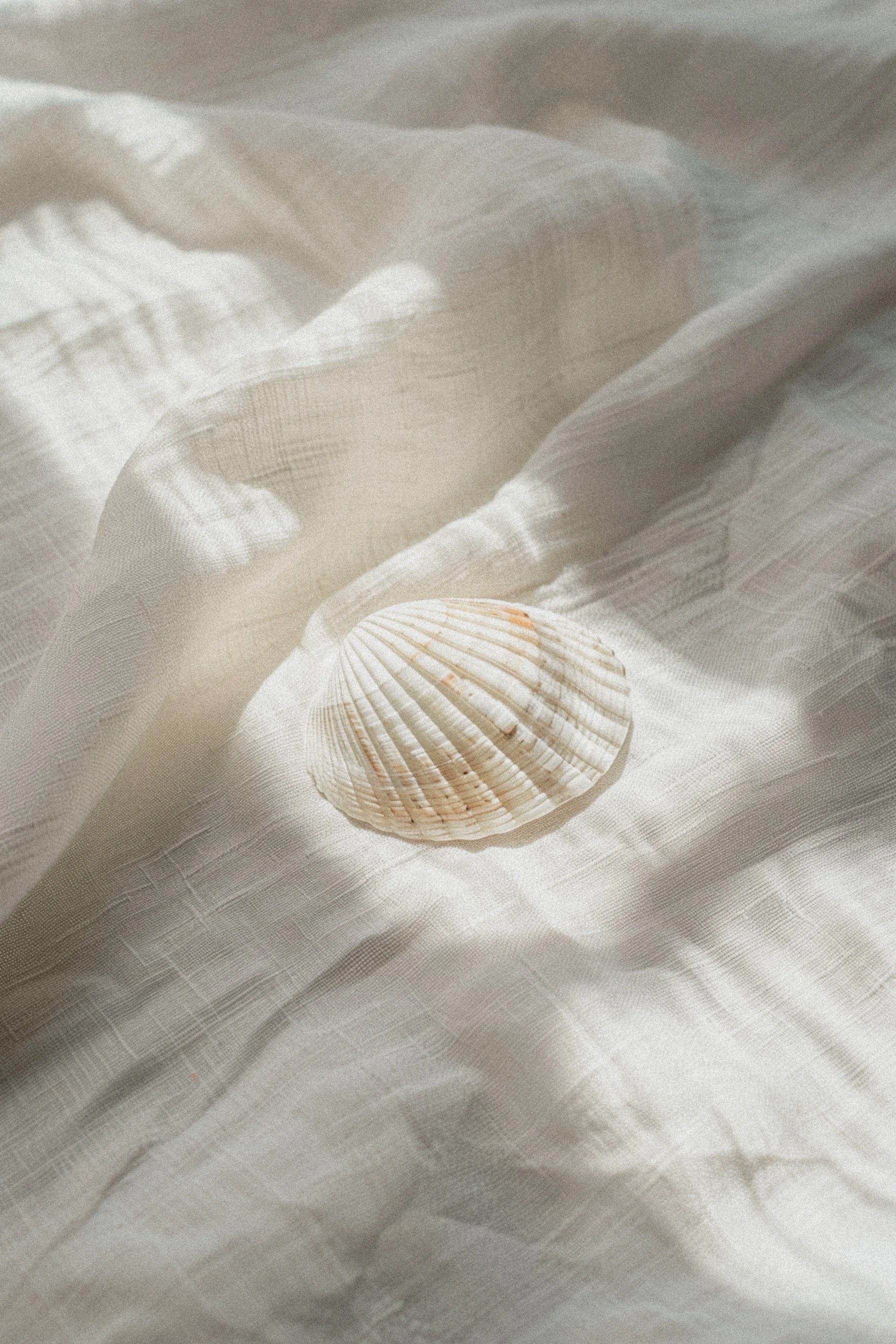 Do Fabrics Have Frequencies