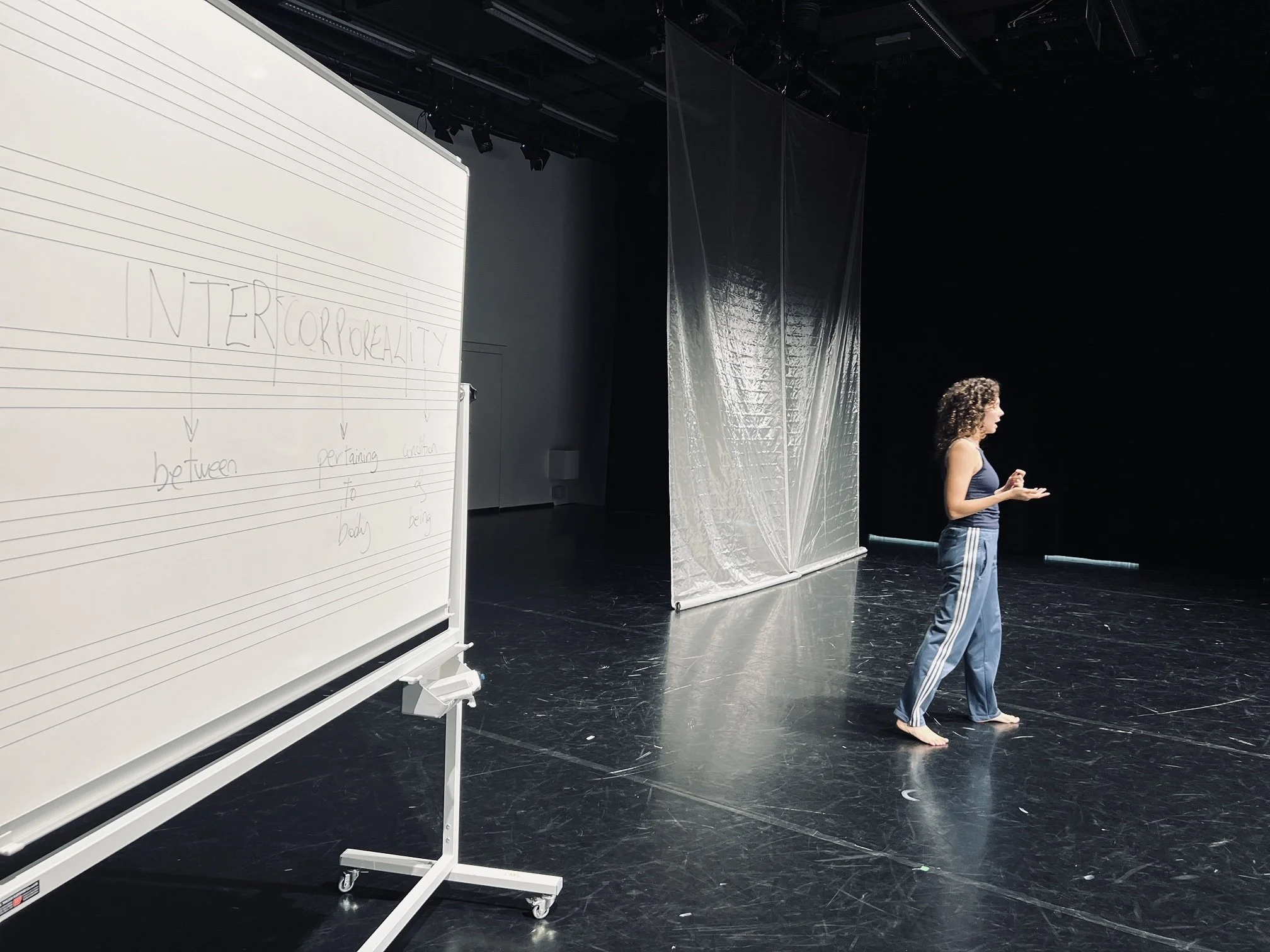 Alejandra Benet - Tracing InterCorporealities.jpg