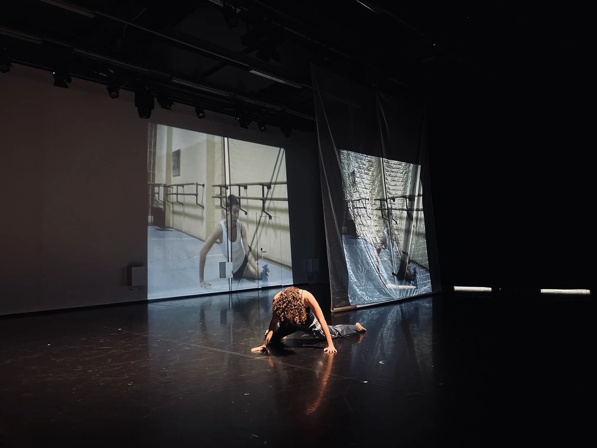 Tracing Intercorporealities Alejandra Benet.jpg