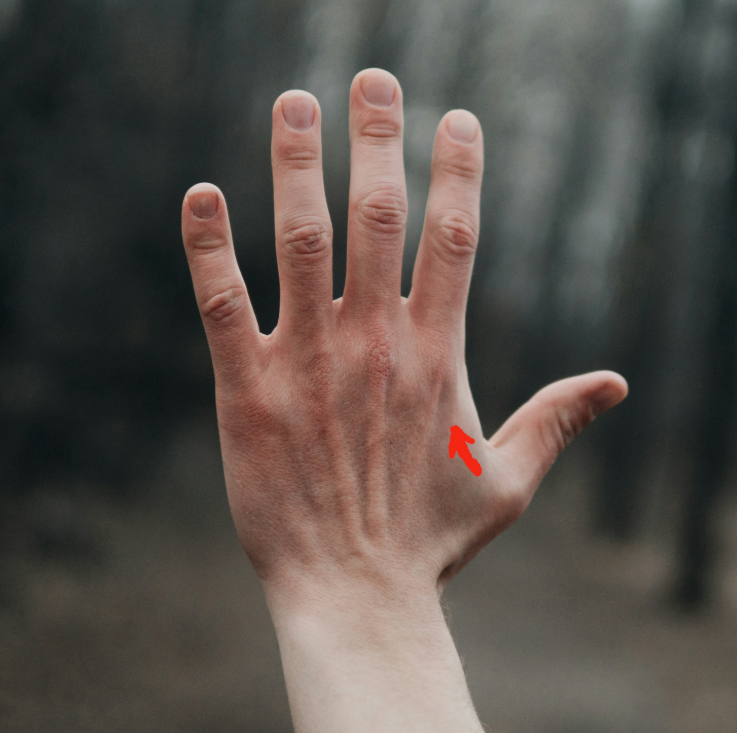 acupressure thumb webbing.png