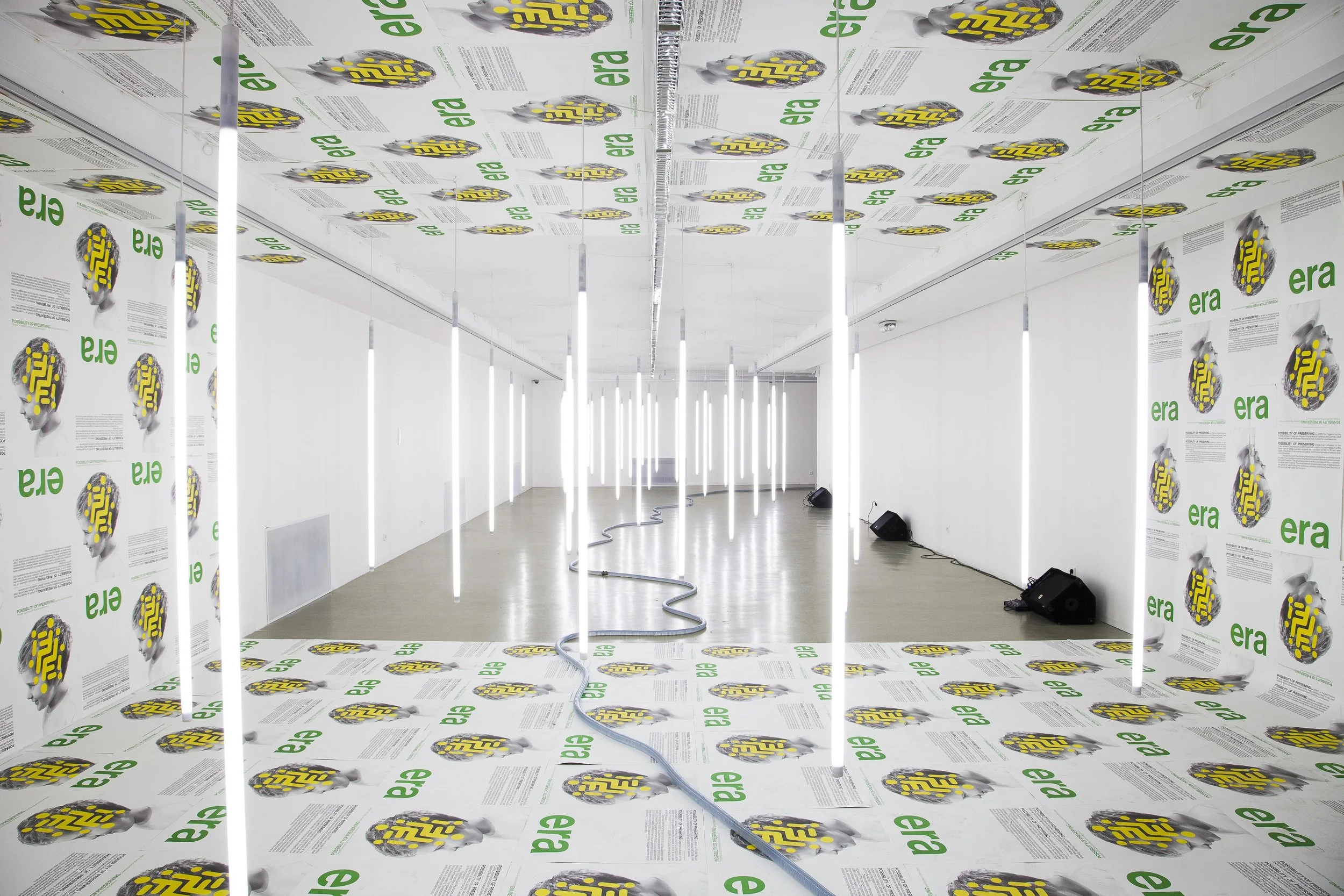 Possibility of Preserving