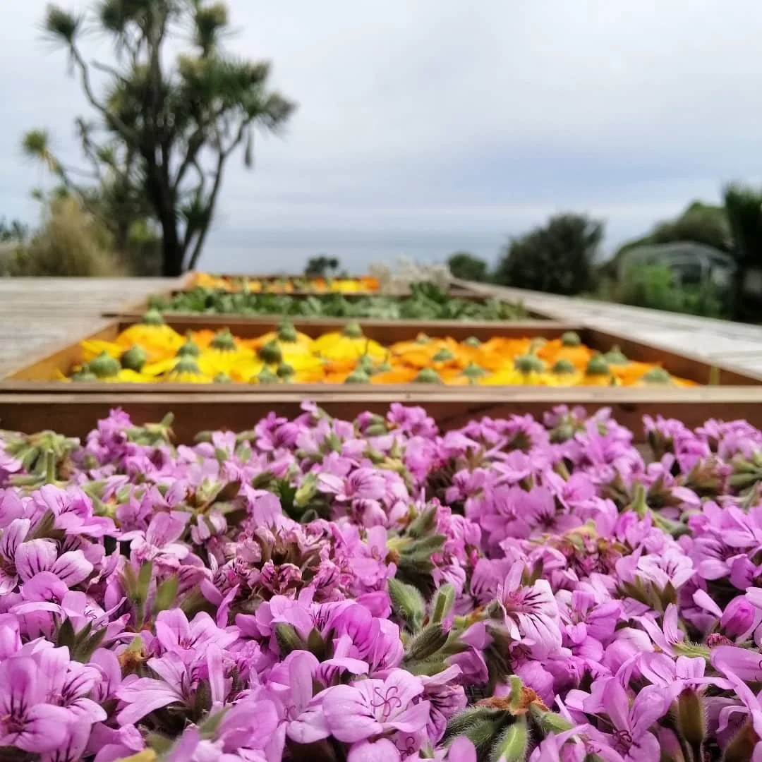 Handmade &amp; Homegrown.