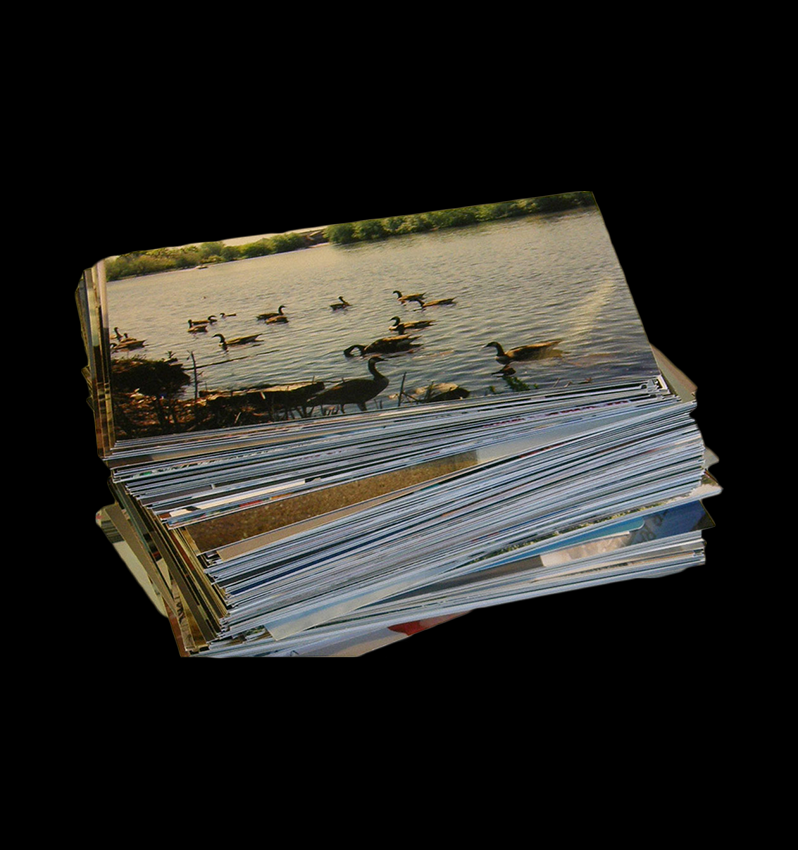 bvtv photographs.png