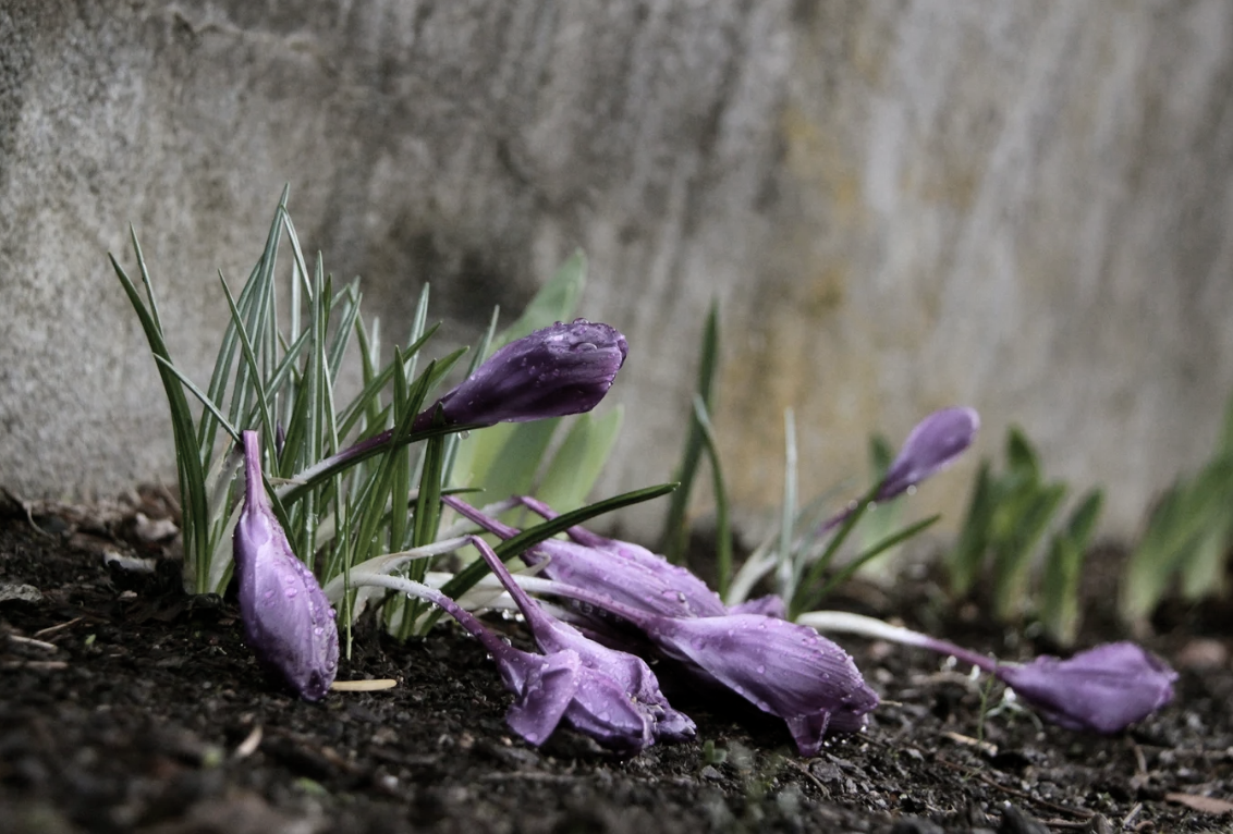 Ground, replenish, restore 